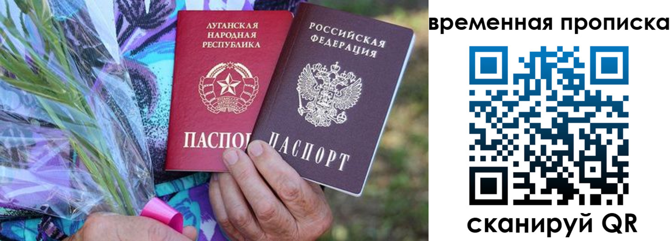 купить прописку в Ивантеевке